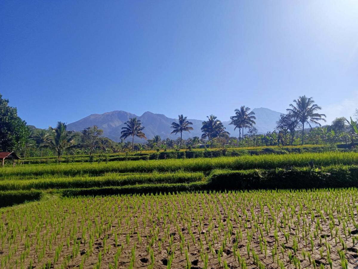 Tetebatu Sunrise Homestay Exterior photo