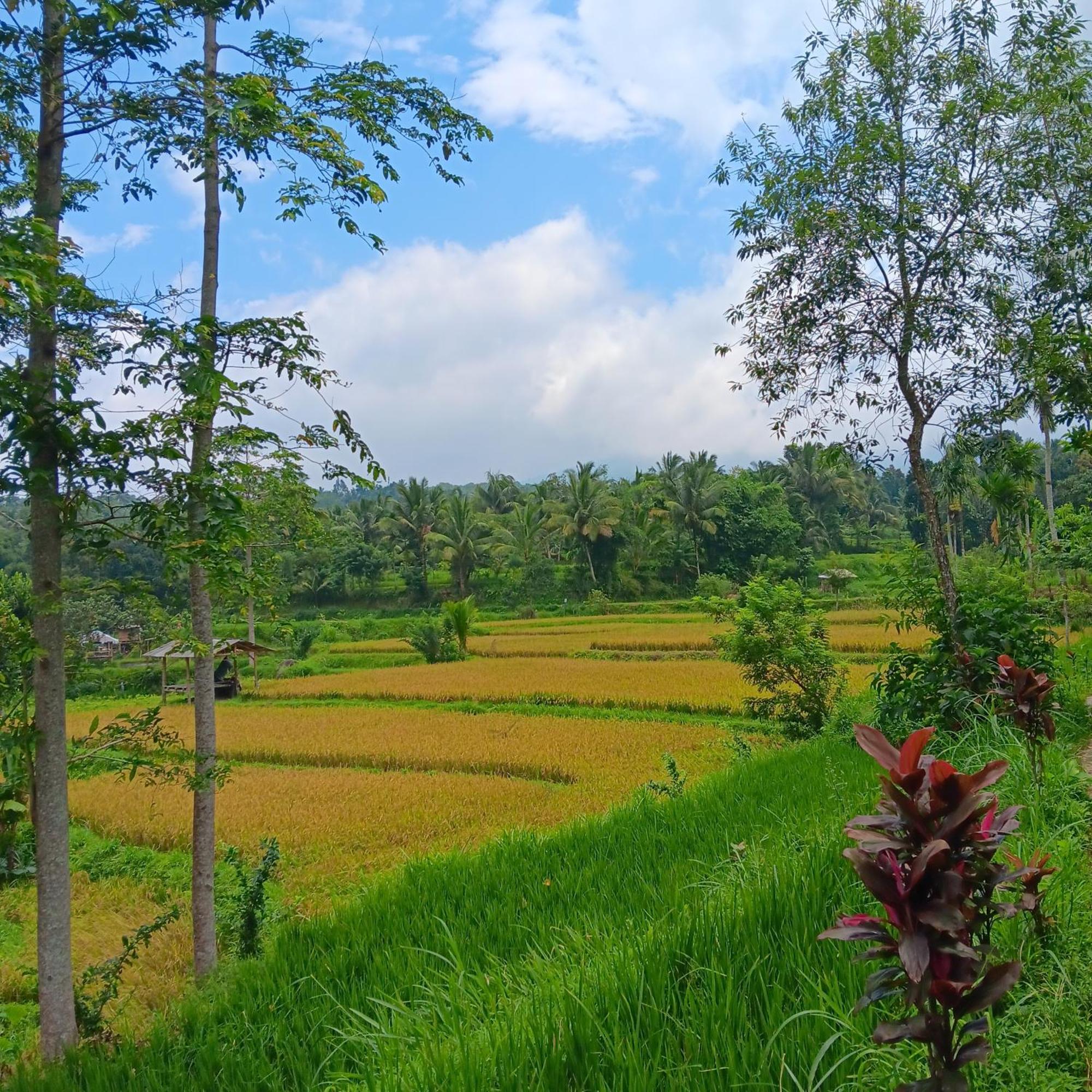 Tetebatu Sunrise Homestay Exterior photo