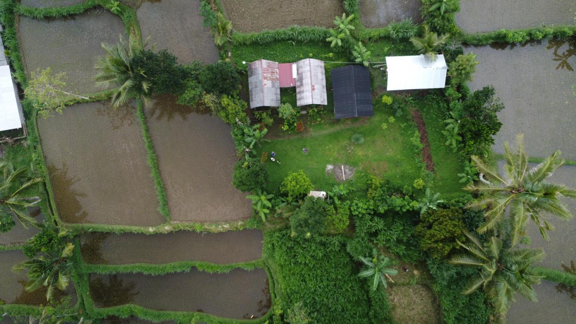 Tetebatu Sunrise Homestay Exterior photo