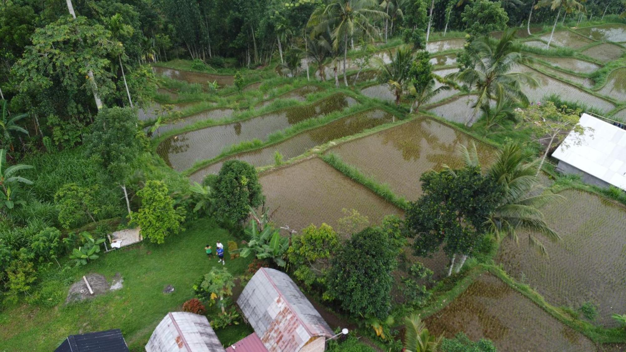 Tetebatu Sunrise Homestay Exterior photo
