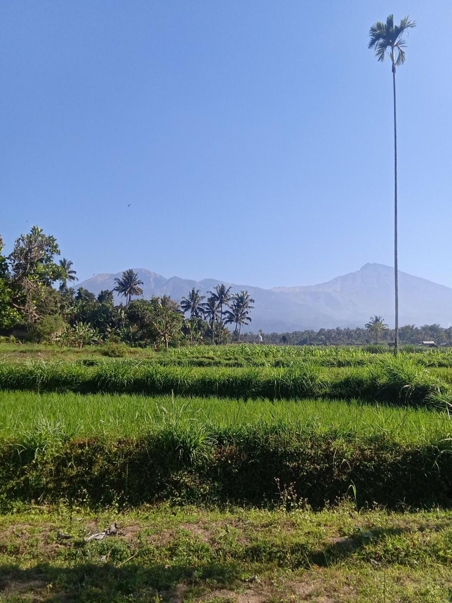 Tetebatu Sunrise Homestay Exterior photo