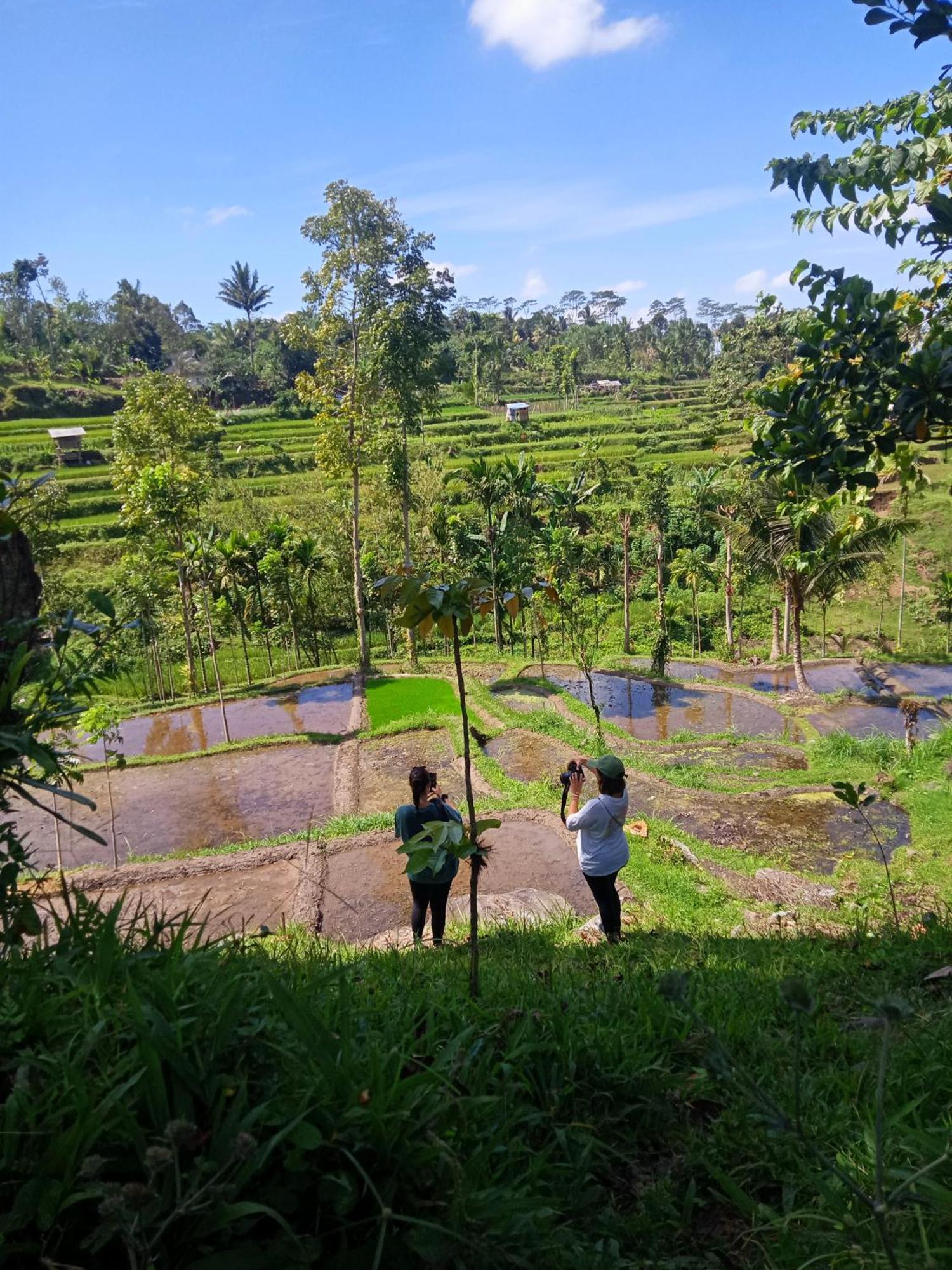 Tetebatu Sunrise Homestay Exterior photo